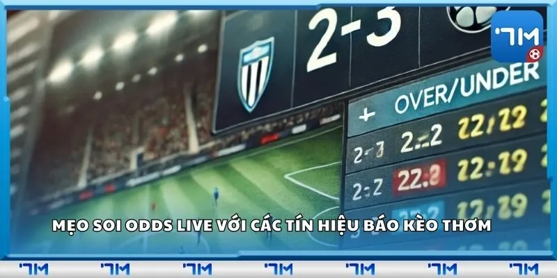 Mẹo soi odds live với các tín hiệu báo kèo thơm