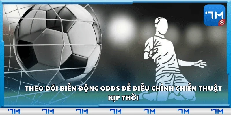 Theo dõi biến động odds để điều chỉnh chiến thuật kịp thời